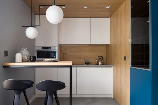 Sleek renovated condo kitchen in Toronto with flat-panel cabinets and integrated appliances